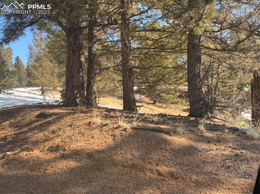 86 & 122 Junction Circle - Photo 1