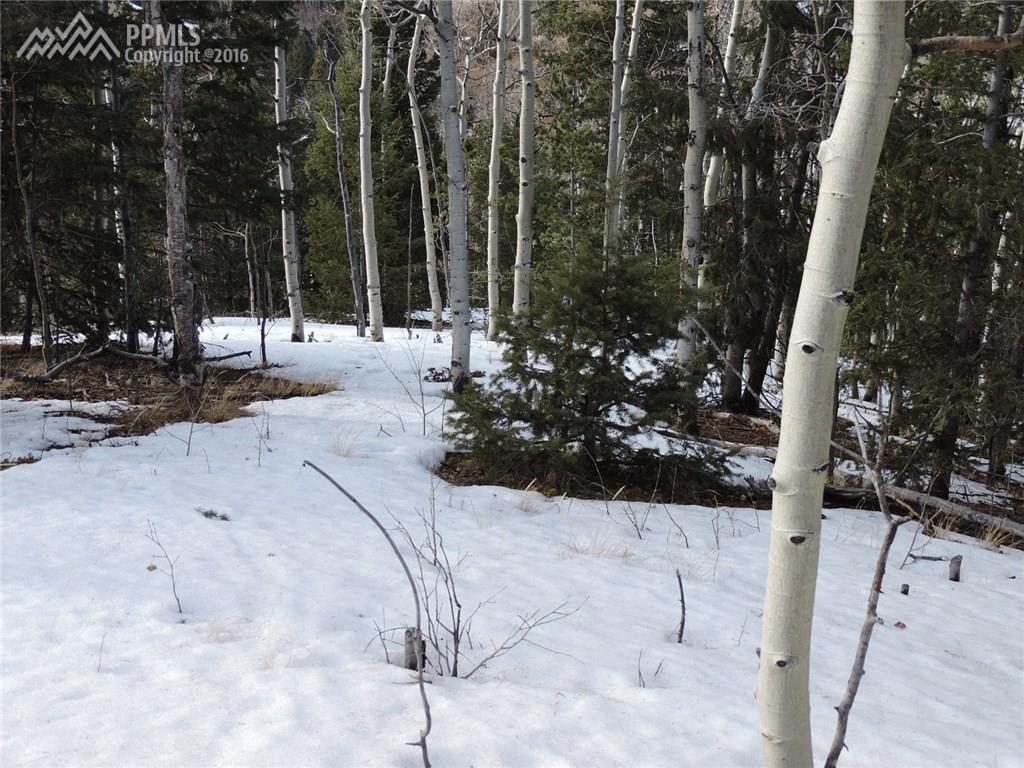 830 Little Topsey Drive - Photo 1