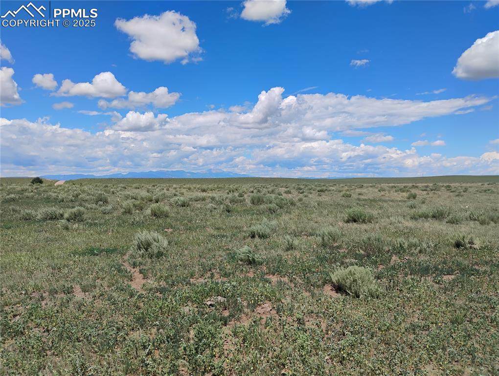 Parcel 16 Squirrel Creek Road - Photo 1