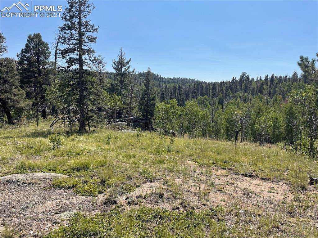 148 Cheyenne Way - Photo 1