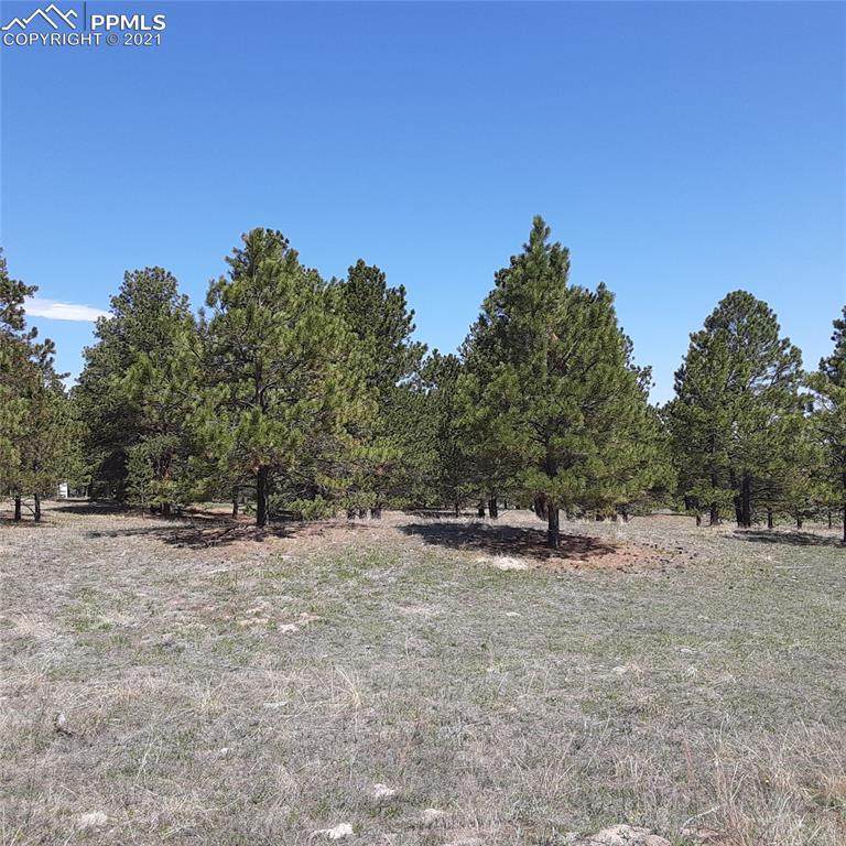 11283 Mosey Trail - Photo 1