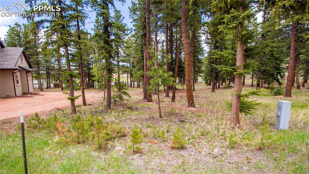 640 Chipmunk Drive - Photo 1