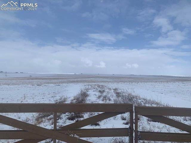 8150 Peyton Highway - Photo 1