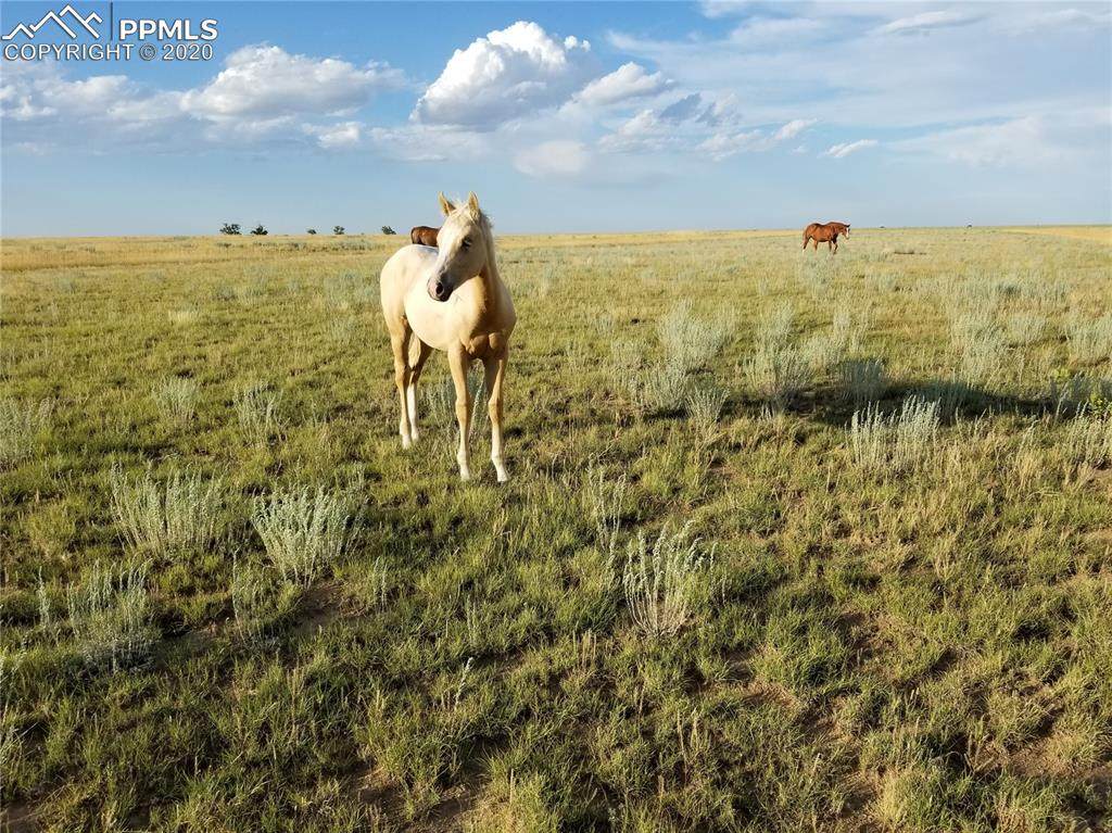 3875 Rush Road - Photo 1