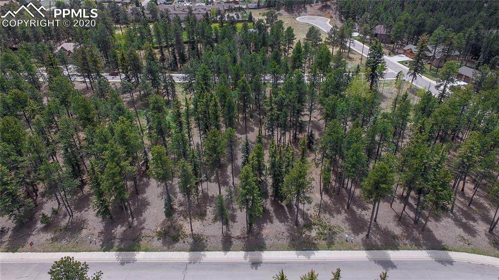 625 Chipmunk Drive - Photo 1