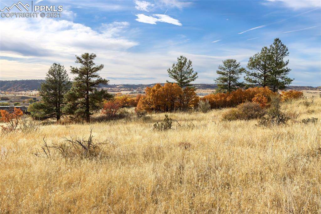 2190 Highway 83 - Photo 1