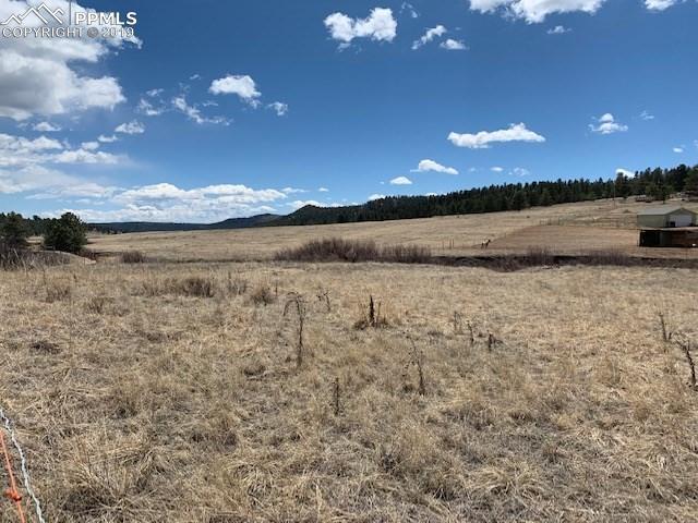 466 Spring Valley Drive - Photo 1