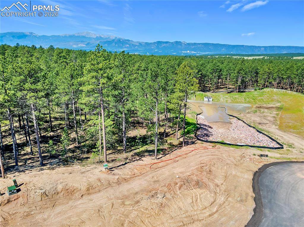 14191 Allen Ranch Road - Photo 1