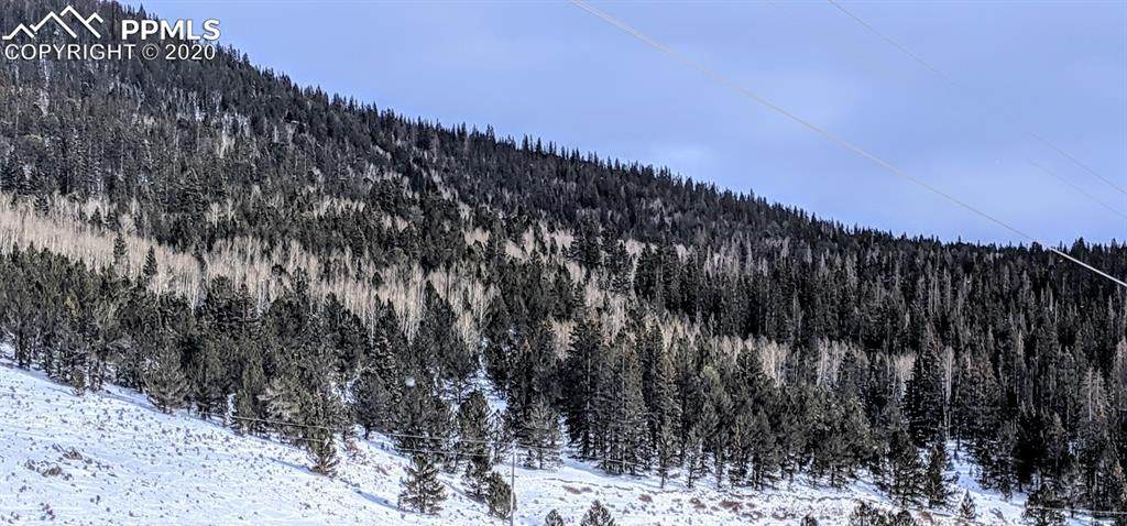 000 Gold Camp Road - Photo 1