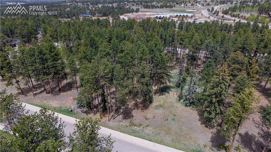620 Meadowlark Lane - Photo 1
