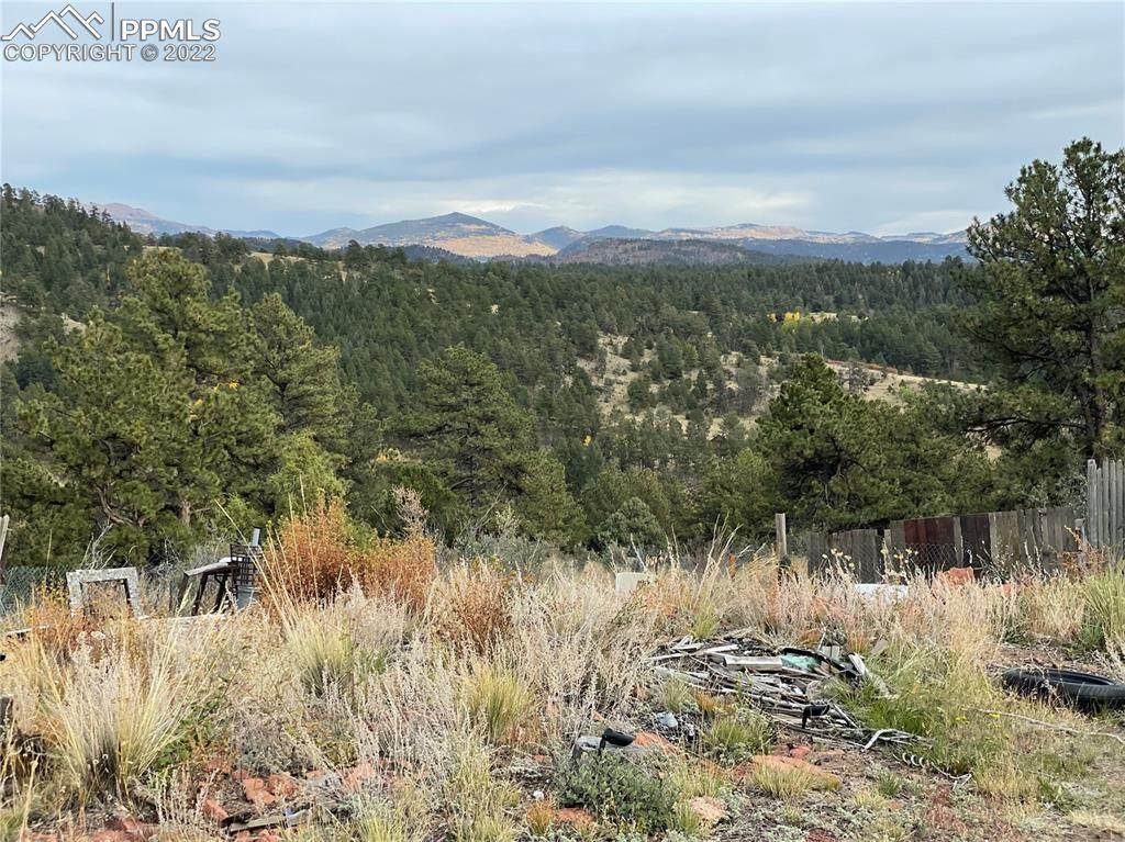 122 Pine Tree Lane - Photo 1