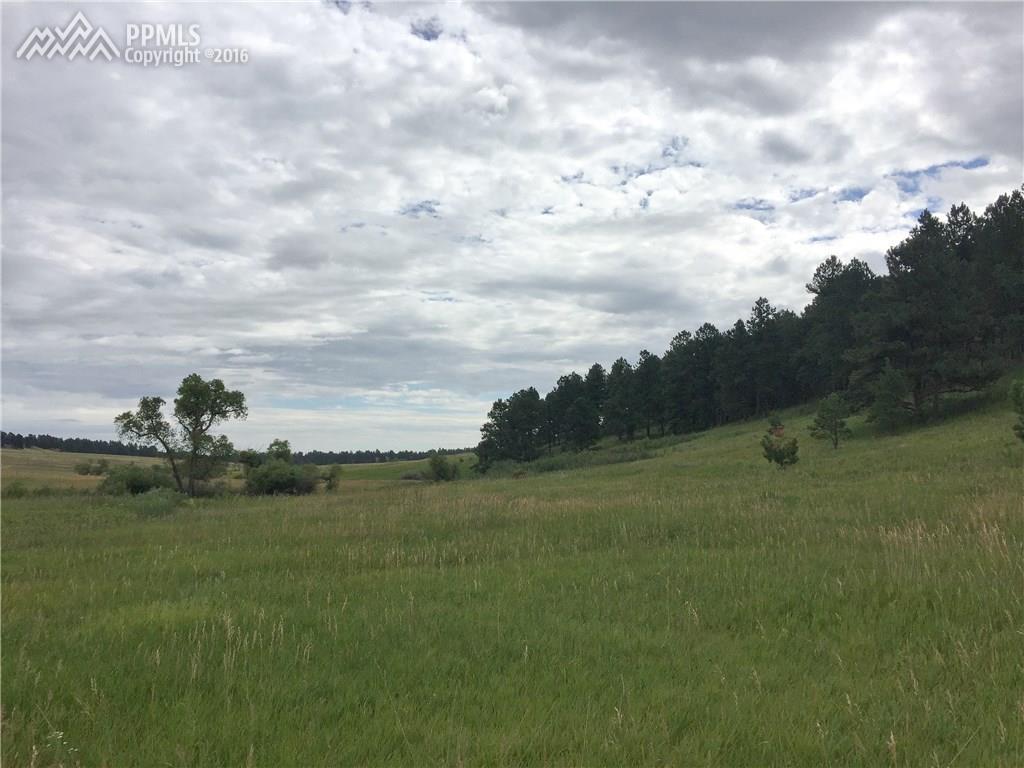 County Line Road - Photo 1