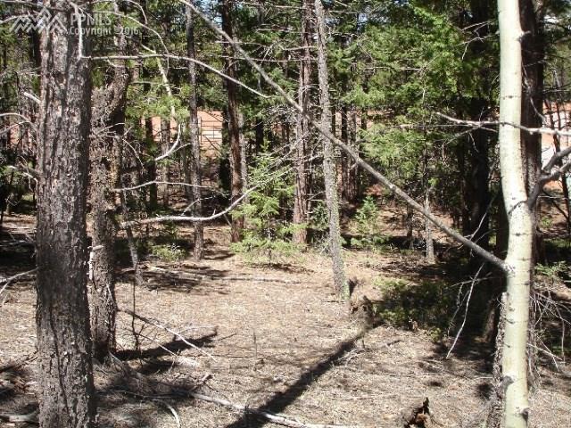 665 Bradford Drive - Photo 1