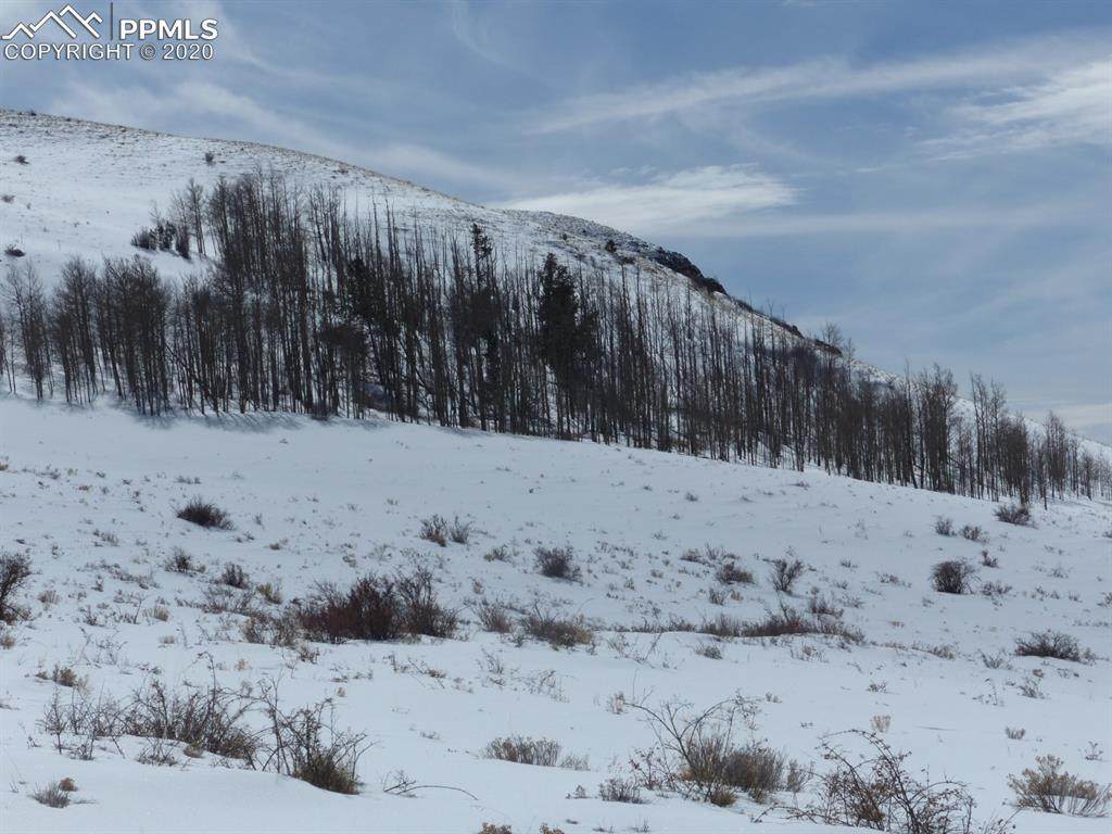 TBD L301 Commanche Trail - Photo 1