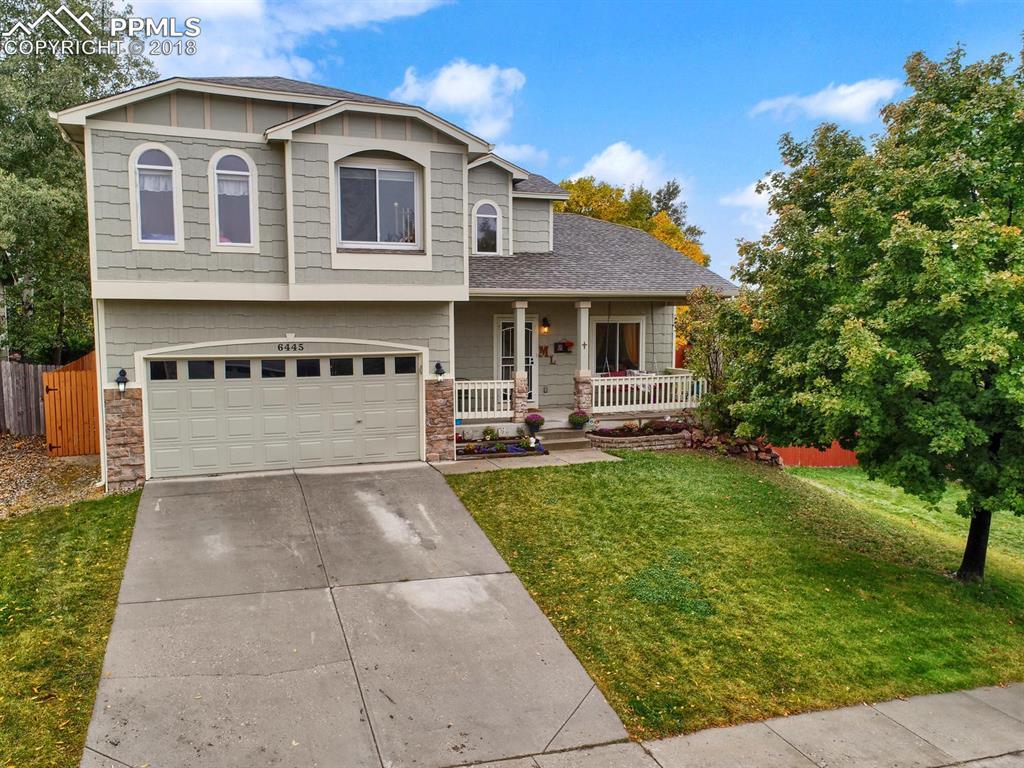 6445 Pinto Pony Drive - Photo 1