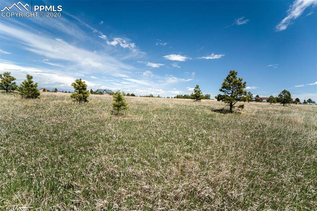 17615 Blacksmith Drive - Photo 1 17615 Blacksmith Drive - Photo 1