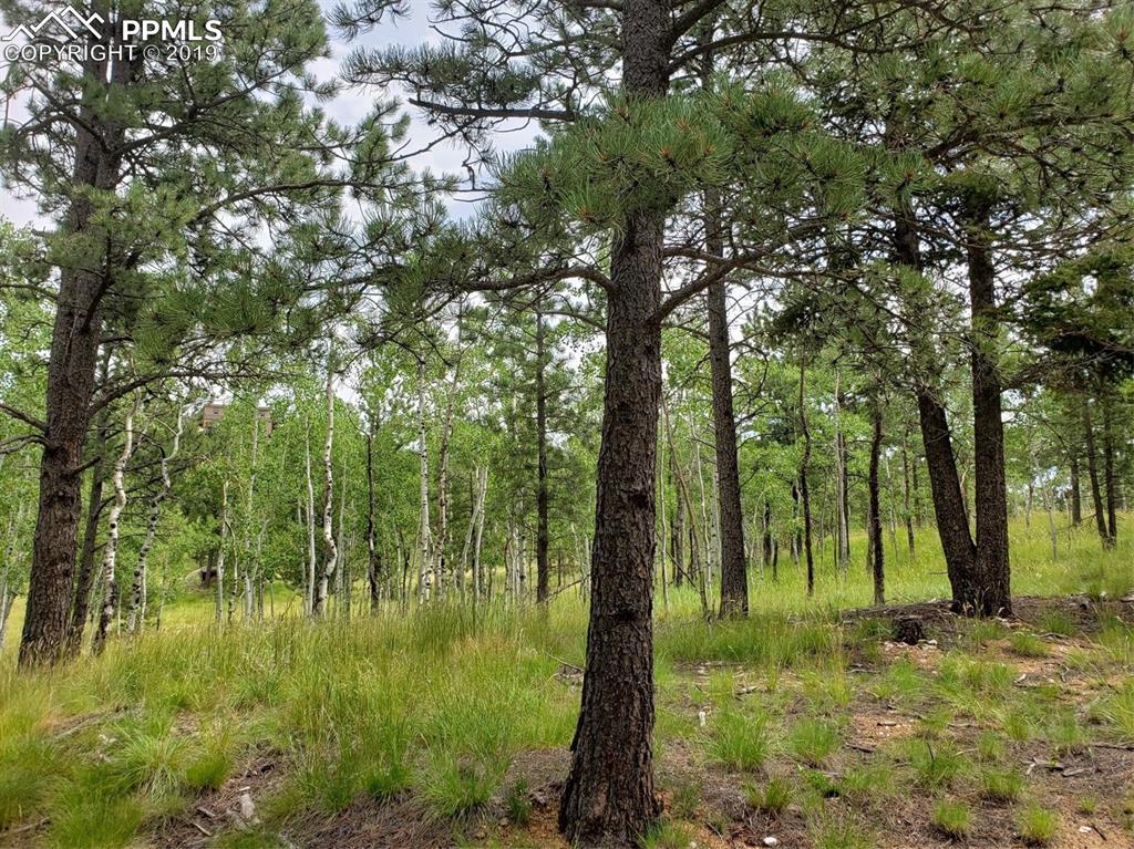 280 Summit Road - Photo 1
