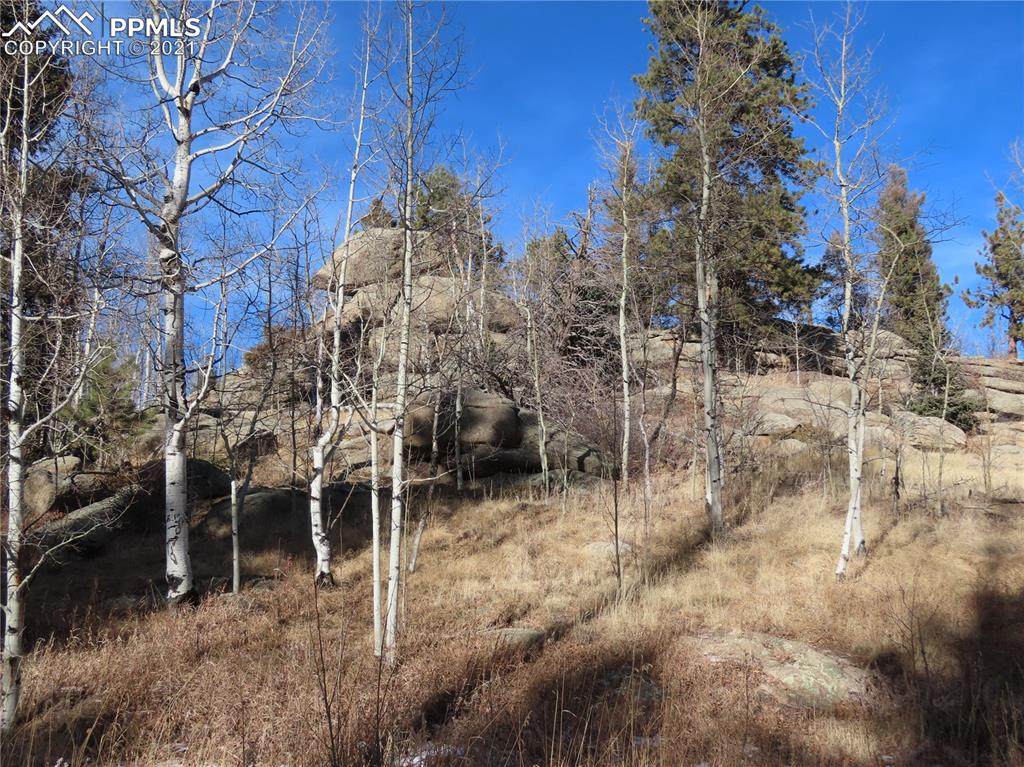 627 Eagle Rock Road - Photo 1