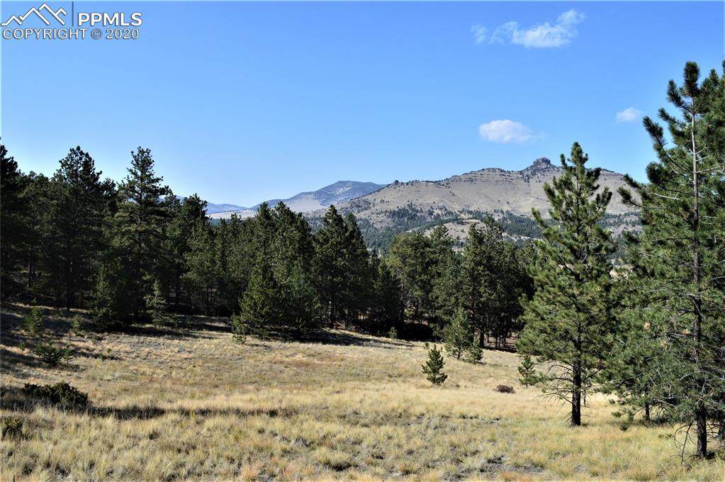 9100 County Road 102 Road - Photo 1