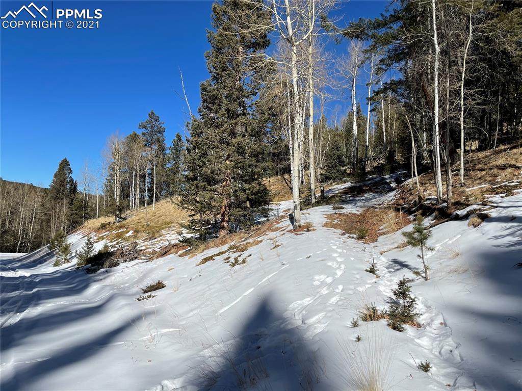 124 Kernite Lane - Photo 1