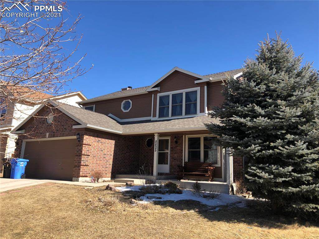 8825 Liverpool Lane - Photo 1