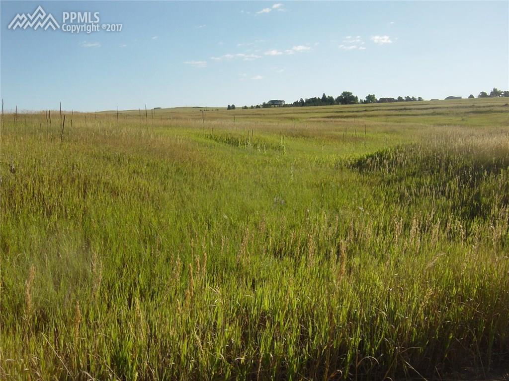 23250 Fastbrook Lane - Photo 1