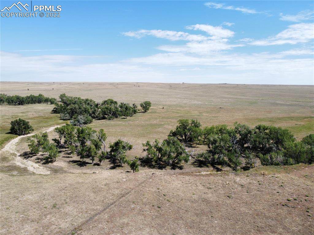 12501 County Road 11.6 Road - Photo 1