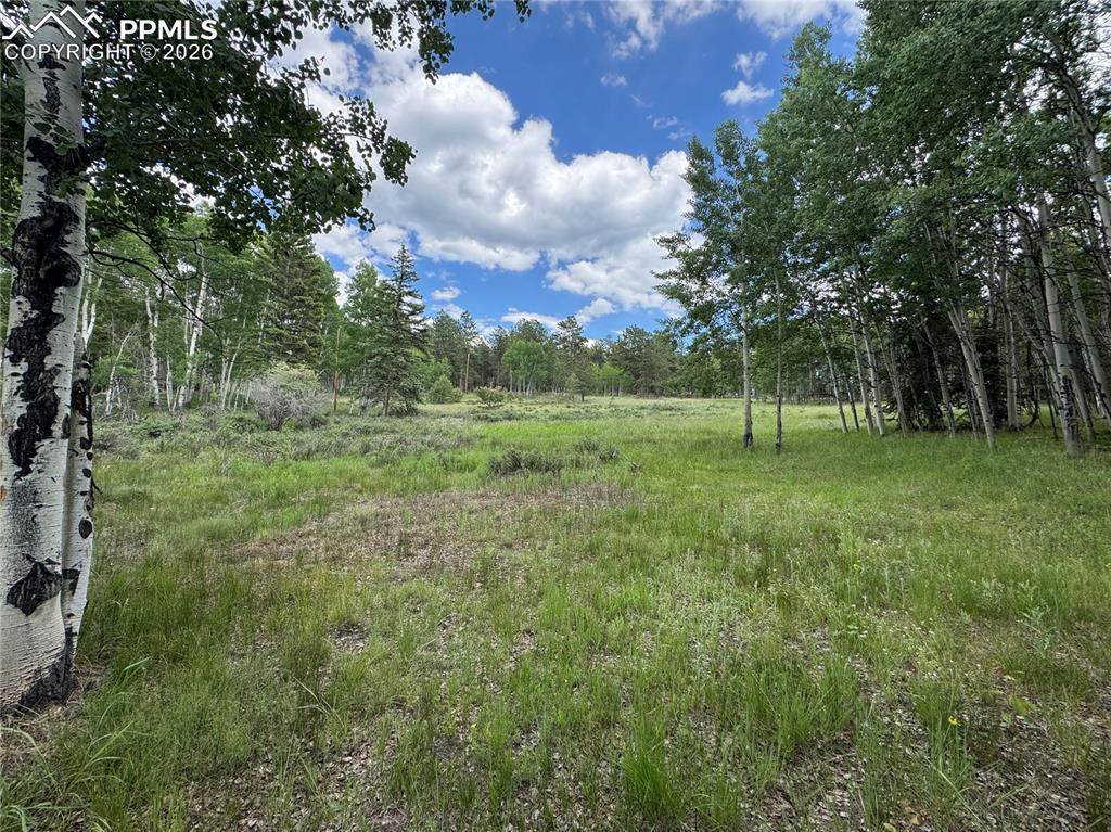 117 Vagabond Creek Terrace - Photo 1