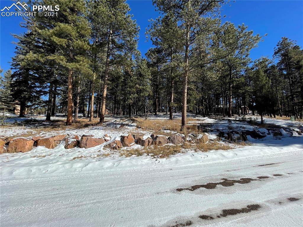205 Wildrose Court - Photo 1