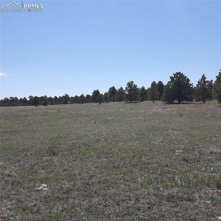 11535 Bison Meadows Court - Photo 1