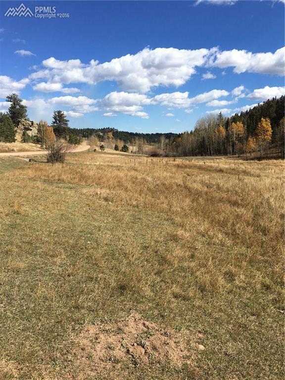 TBD Cripple Creek Road - Photo 1