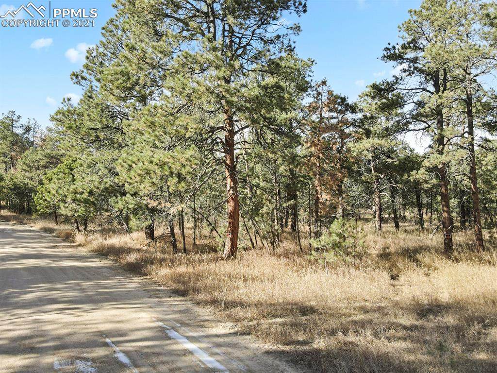 8055 Woodcrest Drive - Photo 1