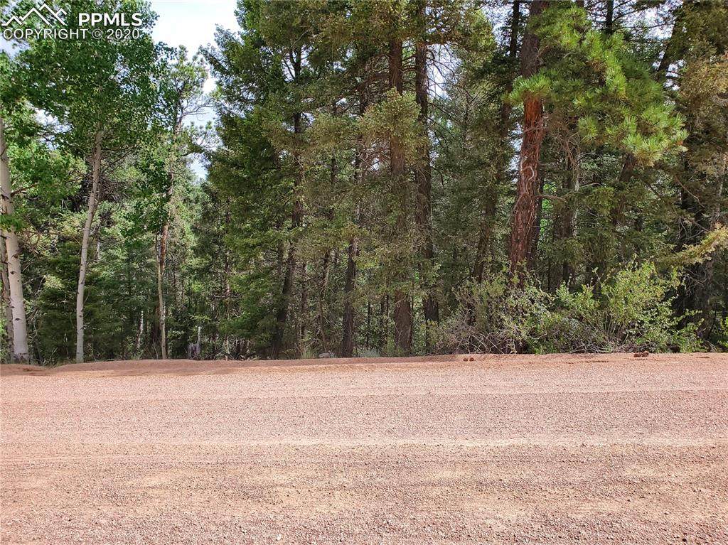 2539 Mountain Estates Road - Photo 1