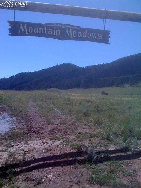 1473 Mountain Meadows Trail - Photo 1