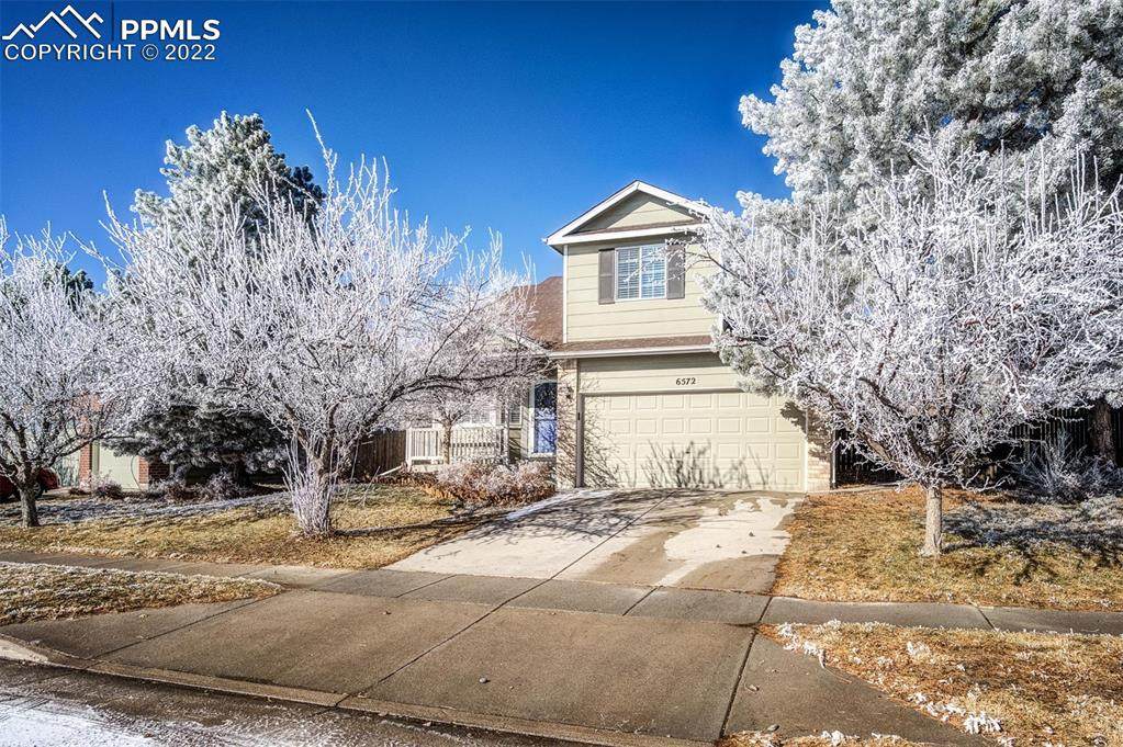6572 La Plata Peak Drive - Photo 1