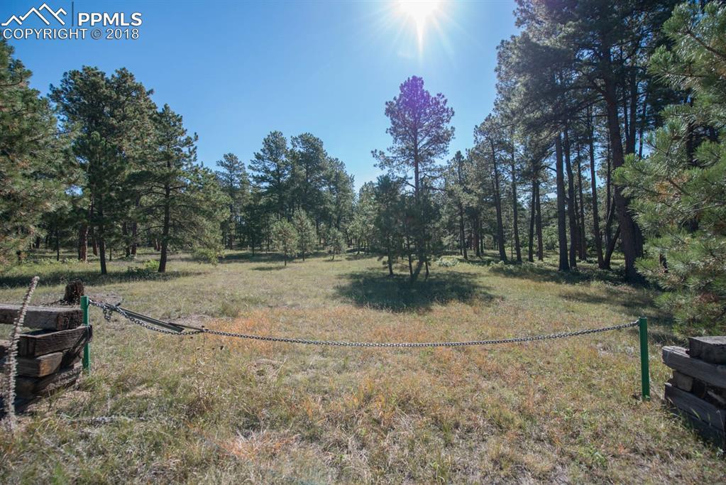 12845 Tahosa Lane - Photo 1