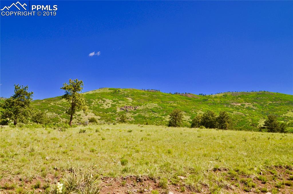 Elk Run Road - Photo 1
