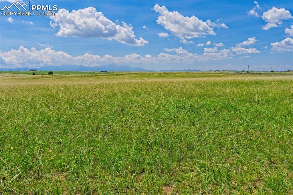 20305 Joyful View - Photo 1