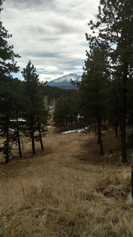 961 Spacious Skies Drive - Photo 1
