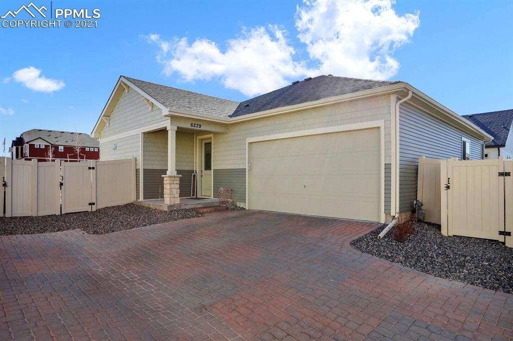 6239 Armdale Heights - Photo 1