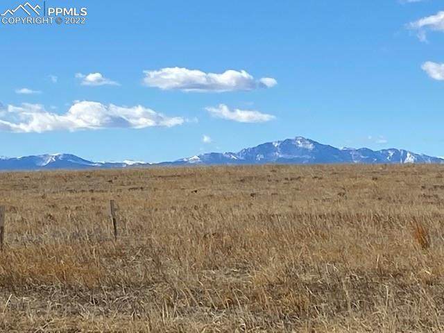 17920 Falcon Highway - Photo 1