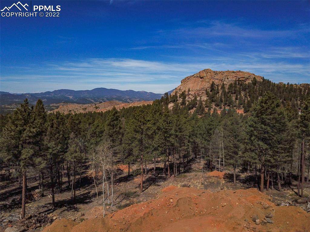174 Crystal Creek Circle - Photo 1