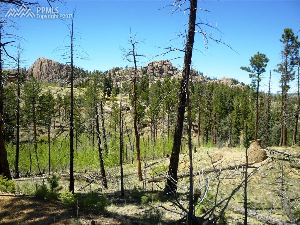 162 Brooks Lane - Photo 1