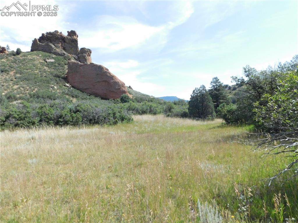5967 Country Club Drive - Photo 1
