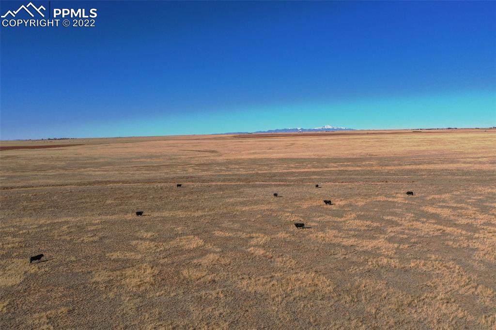 21485 County Road 2 - Photo 1