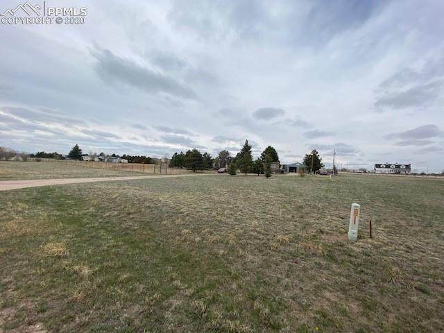 11690 Owl Place - Photo 1