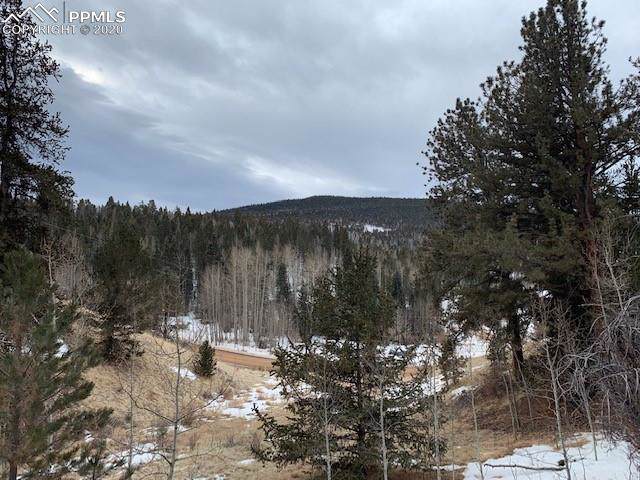345 Wellington Drive - Photo 1