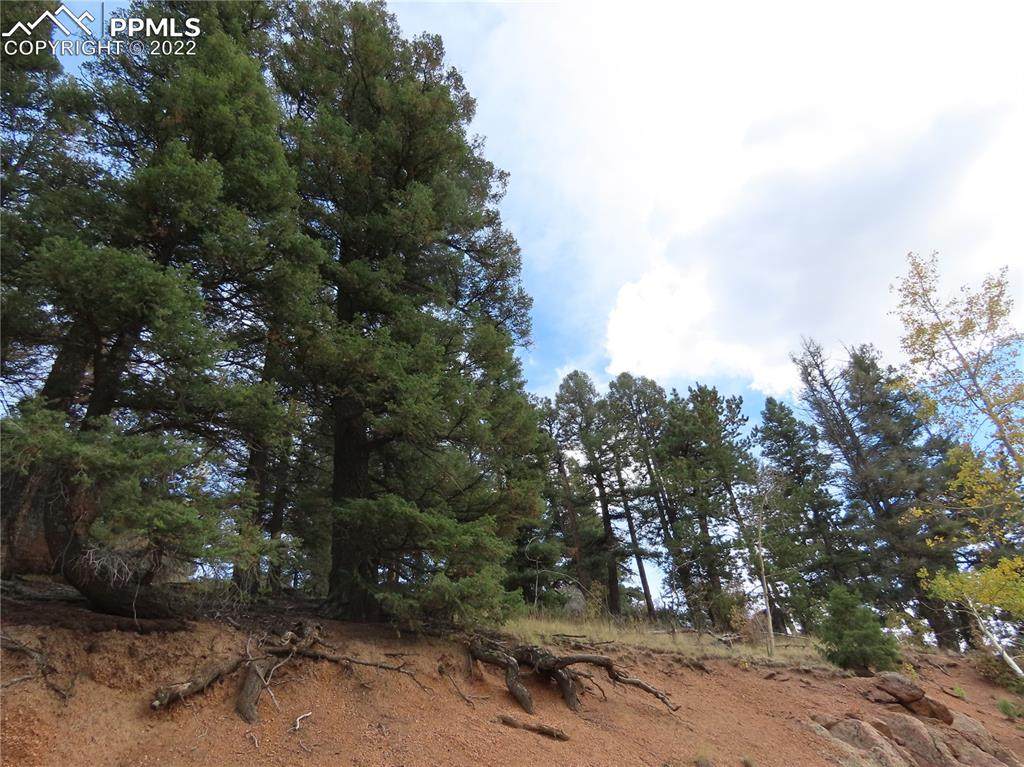 3443 Mountain Estates Road - Photo 1