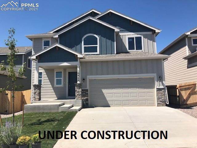 6867 Volga Drive - Photo 1