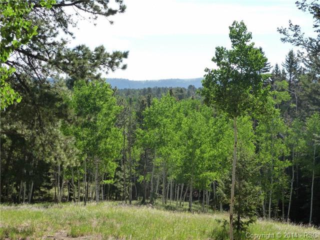 110 Princeton Drive - Photo 1